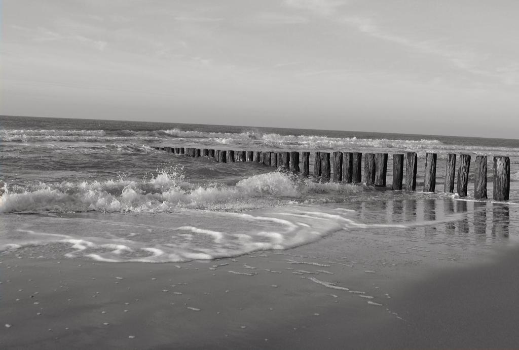 Fletcher Landgoedhotel Renesse Bagian luar foto